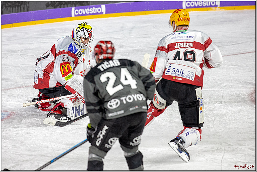 DEL; Koelner Haie - Fischtowns Pinguins Bremerhaven, 24.01.2019